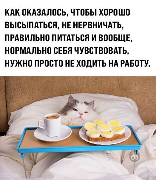 КАК ОКАЗАЛООЬ ЧТОБЫ ХОРОШО ВЫОЫПАТЬСЯ НЕ НЕРВНИЧАТЬ ПРАВИЛЬНО ПИТАТЬСЯ И ВООБЩЕ НОРМАЛЬНО СЕБЯ ЧУВСТВОВАТЬ НУЖНО ПРОСТО НЕ ХОДИТЬ НА РАБОТУ