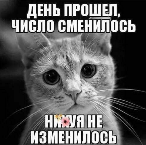дЕНЬ ПРИШЕЛ ЧИВПП ВМЕНИЛВВЬ