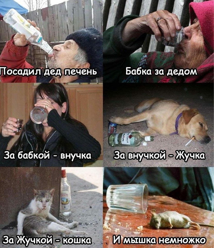 ПосадИлд п чеЁчь Бабка за дедом внучка Ёе ба О