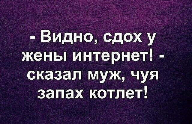 Видно сдох у жены интернет сказал муж чуя запах котлет