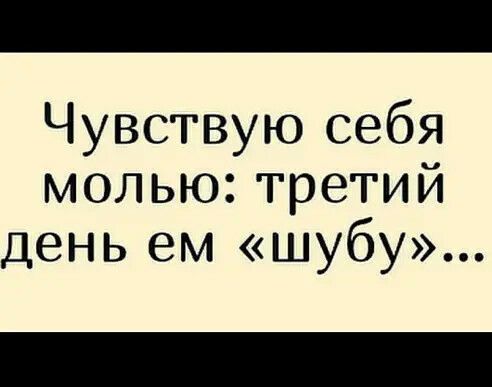 Чувствую себя молью третий день ем шубу