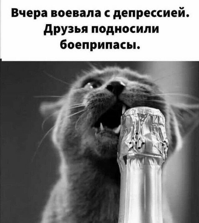 Вчера воевала депрессией друзья подносили боеприпасы