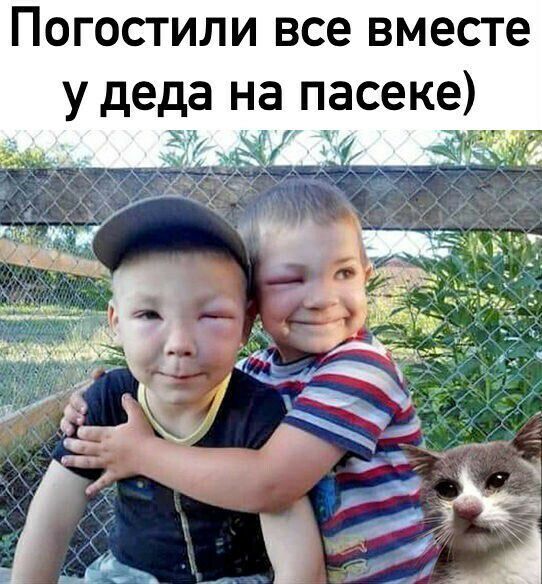 Погостили все вместе у деда на пасеке ёё