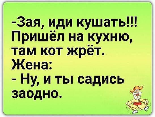 3ая иди кушать Пришёл на кухню там кот жрёт Жена Ну и ты садись заодно