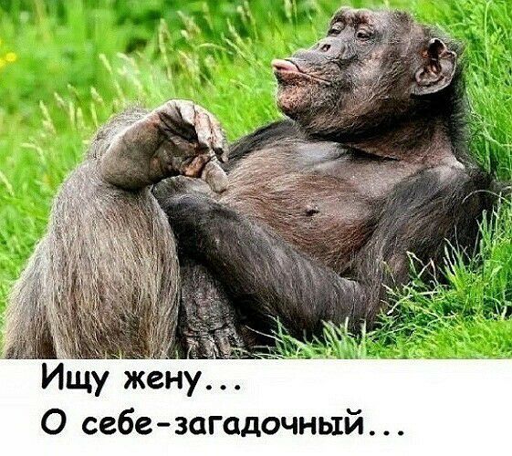 7 щу жену О себе загадочный