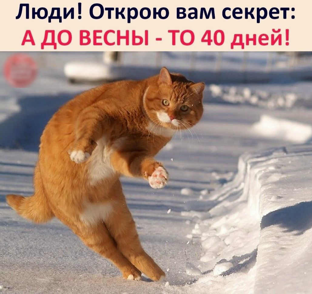 Люди Открою вам секрет А ДО ВЕСНЫ ТО 40 дней