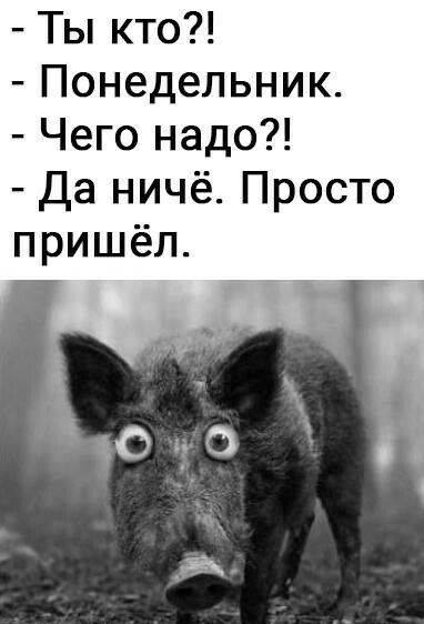 Ты кто Понедельник Чего надо Да ничё Просто пришёл