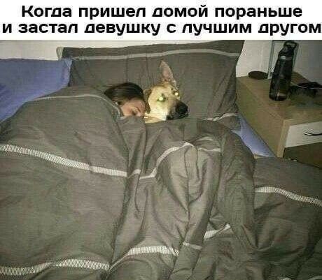 Когда пришел домой пораньше и застал девушку с лучшим другом