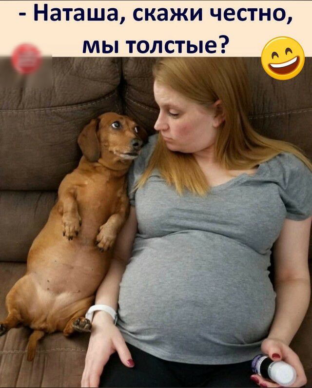 Наташа скажи честно мы толстые