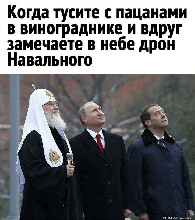 Когда тусите с пацанами в винограднике и вдруг замечаете в небе дрон Навального