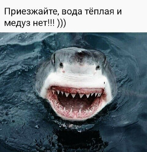 Приезжайте вода тёплая и медуз нет
