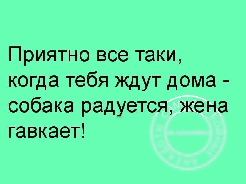 Приятно все таки когда тебя ждут дома собака радуется жена гавкает