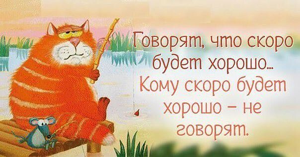 _жворят Что скоро будет орош_о С 50