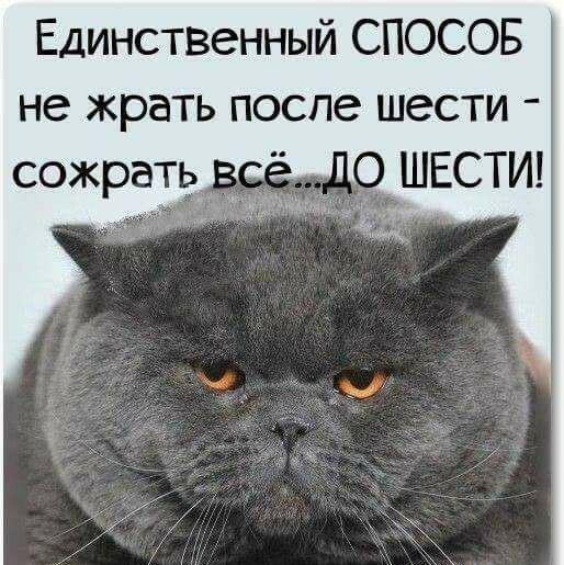 Единственный СПОСОБ не жрать после шести сожрать ШЕСТи