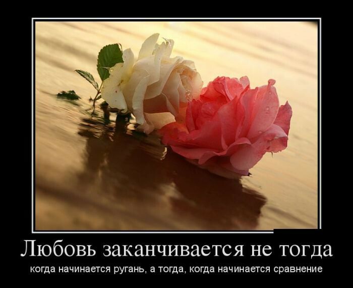 ЛЮбОВЬ ЗЗКЗНЧИВЗСТСЯ не тогда когда начинается ругань а тогда когда начинается сравнение