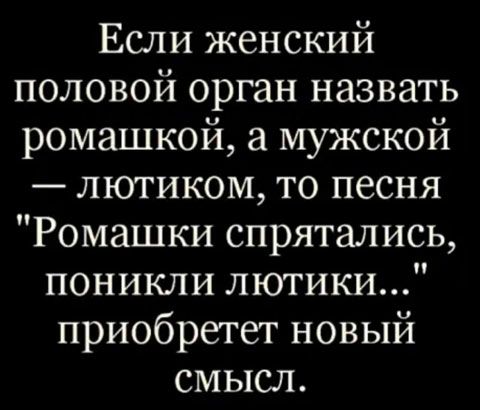 Если женский половой орган назвать ромашкой мужской лютиком то песня Ромашки спрятались поникли лютики приобретет новый смысл
