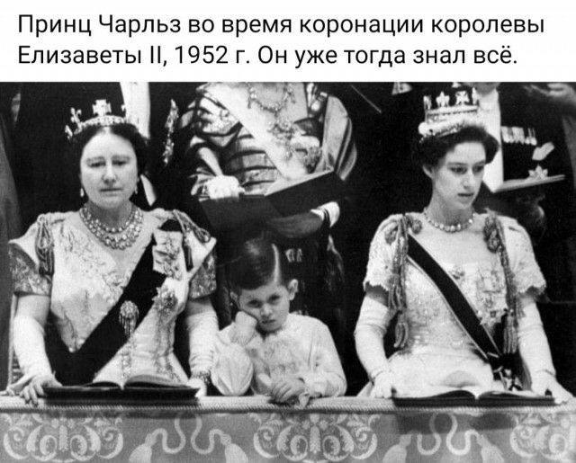 Принц Чарльз во время коронации королевы Елизаветы 1952 г Он уже тогда знал всё