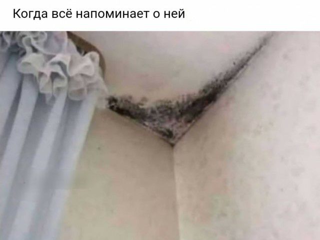 Когда всё напоминает о ней