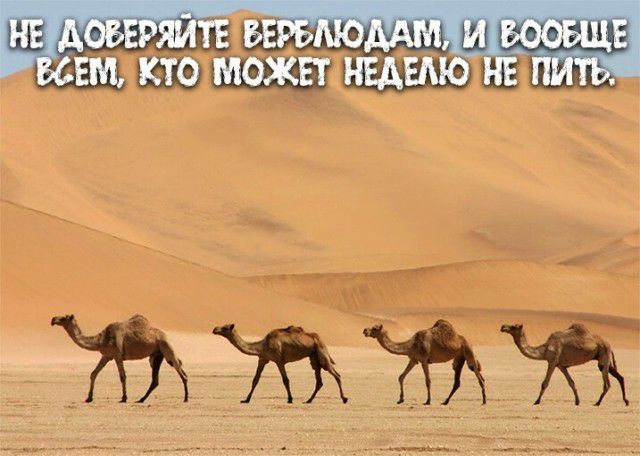 тттй