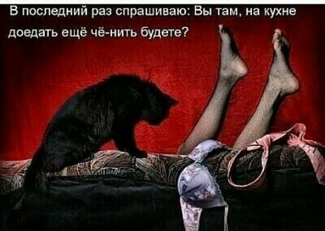 В последний раз спрашиваю Вы там на кухне доедать ещё чё иить будете
