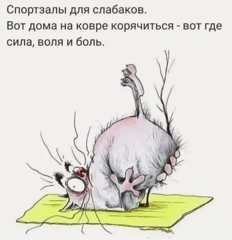 Спортзапы для слабаков ВОТ дома на ковре корячиться ВОТ Где сила воля и боль