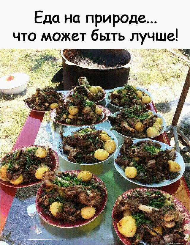 Еда на природе что может быть лучше
