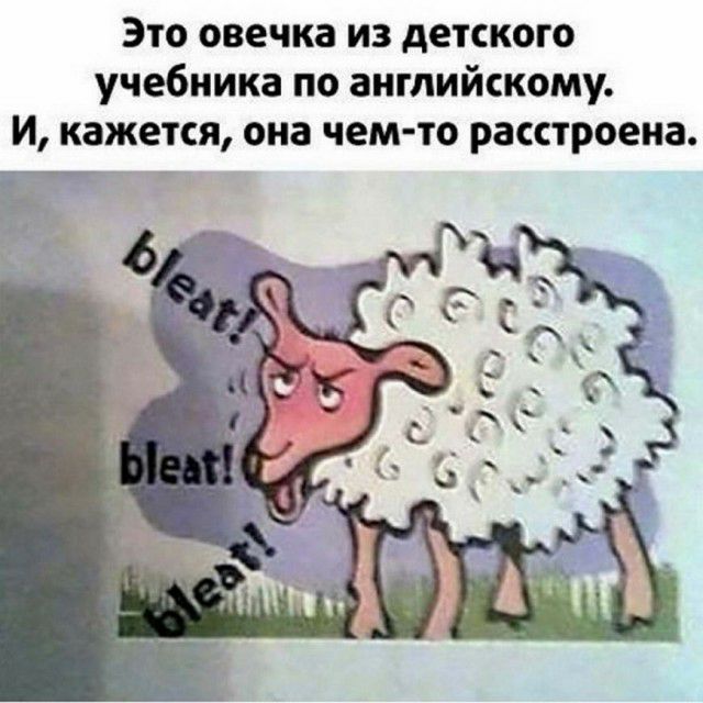 Это овечка из детского учебника по английскому и кажется она чем то расстроена