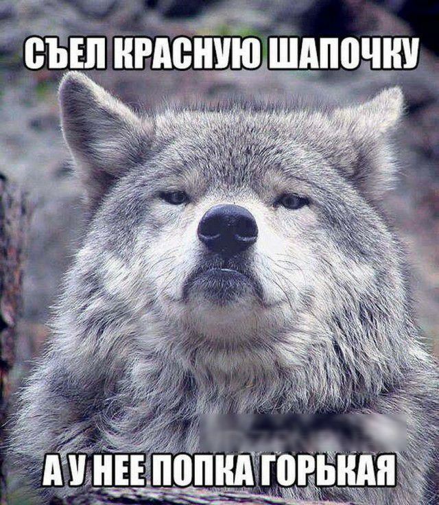 ев ВЪЕЛ НРАВНУЮ ШАП0ЧШ