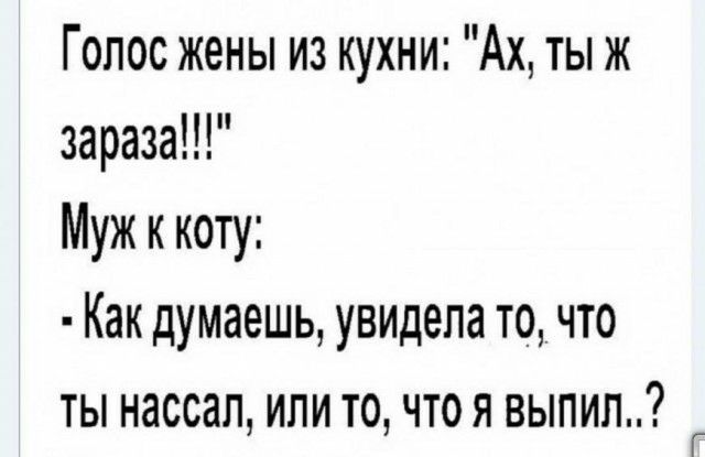Голос жены из кухни Ах ты ж зараза Муж к коту Как думаешь увидела то что ты нассап или то что я выпил Г