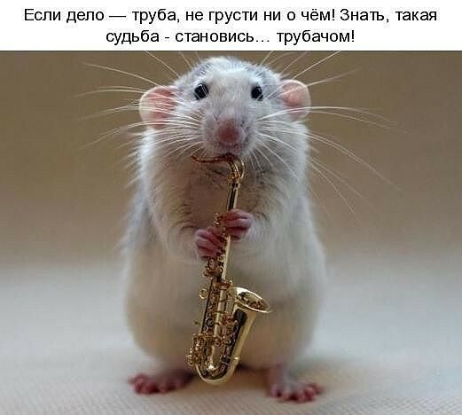 Если депо труба не грусти ни о чем Знать такая
