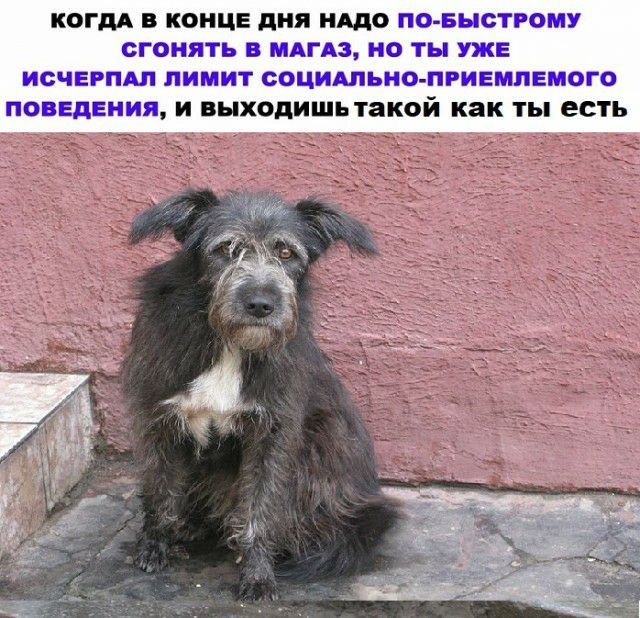 КОГДА В КОНЦЕ дня НАДО ПЮ Г СцРіЁЭШЭ СТОП В Р ПЫ П ШШ