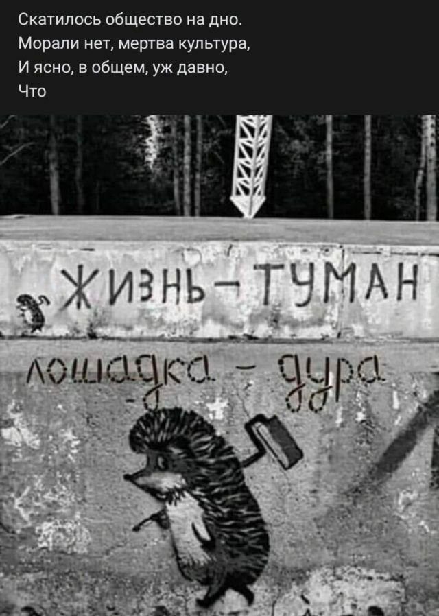 Скатипось общество на дно Морапи нет мертва культура И ясно в общем уж давно