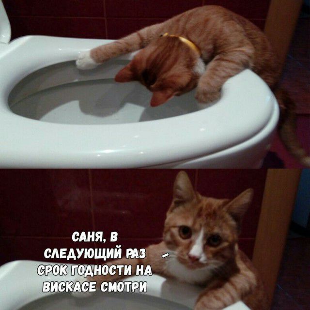ОАНЯ В сдндующии РАЗ 2 НОСТИ НА в ька сметёт