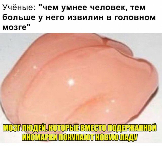 Учёные чем умнее человек тем больше у него извилин в головном мозге П ш