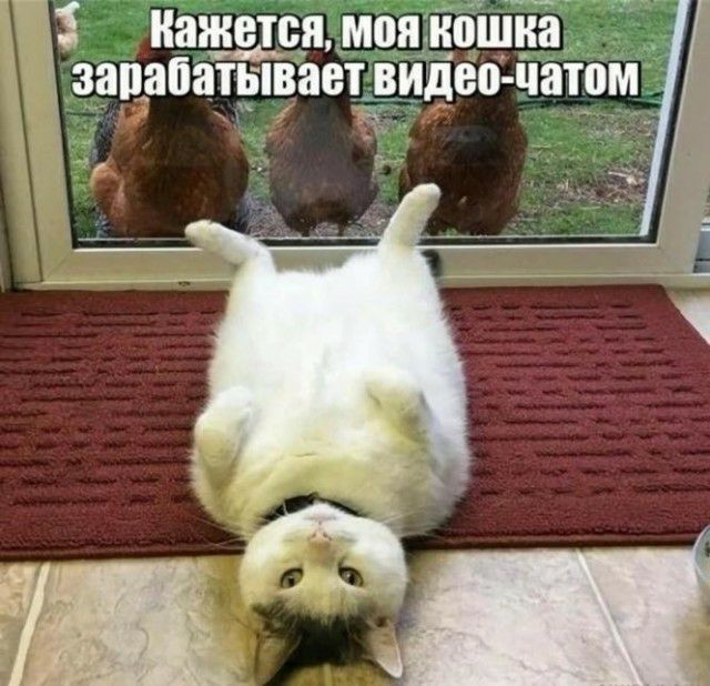 3 Нажвщпцмо зарабатывает