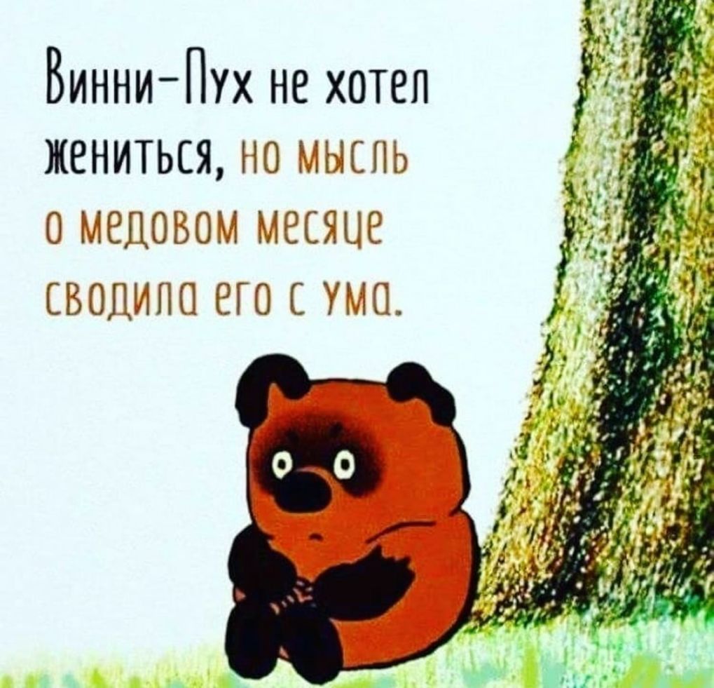 Винни Пух не хотел жениться но ЕЫЕПЬ ідіді и 811080351 месяцв 31 БОШНШ то угш