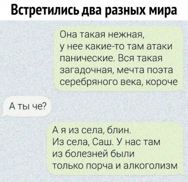 Встретились два разных мира А ты че Она такая нежная у нее какието там атаки панические Вся такая загадочная мечта поэта серебряного века короче А я из села блин Из села Саш У нас там из болезней были только порча и алкоголизм