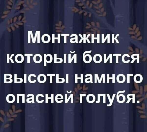 Монтажник который боится высоты намного опасней голубя