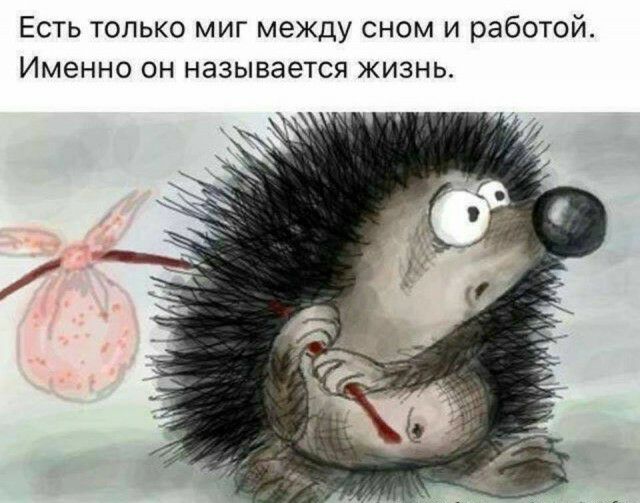 Есть только миг между сном и работой Именно он называется жизнь