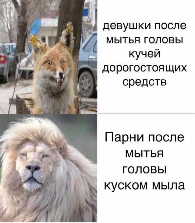 девушки после мытья головы _ кучей дорогостоящих средств Парни после мытья ГОЛОВЫ КУСКОМ МЫЛЭ