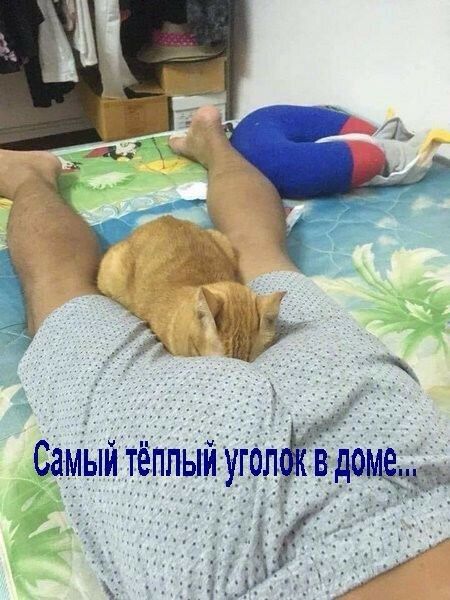СдМыйдтёппы гол в 1