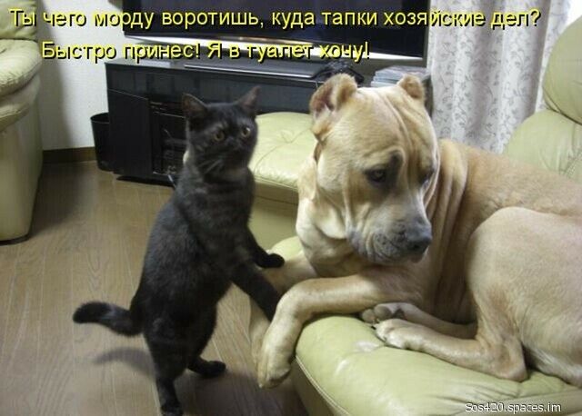 МООДУ БОРОТИШЬ куда ТЭПКИ ХОЗЯ