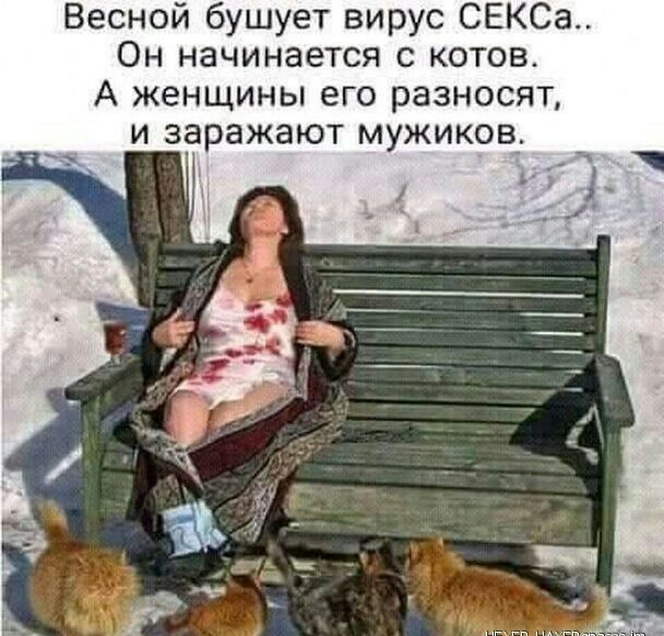 Весной бушует вирус СЕКСа Он начинается с котов А женщины его разносят и заражают мужиков