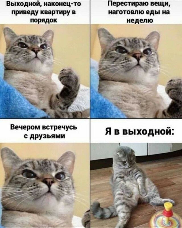 Выходной иакоиец то приведу квартиру в Перестираю вещи иаготовлю еды на неделю Вечером встречусь друзьями