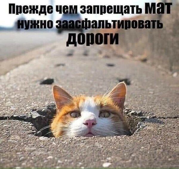 ппежде чшзаппещатьшг __ішнно апьтипов 1 д ноги