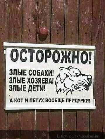 зпывсовдкил зпывхозяввм зпыедвтш И А КОТ И ППУХ ВООБЩЕ ПРИДУРКИ