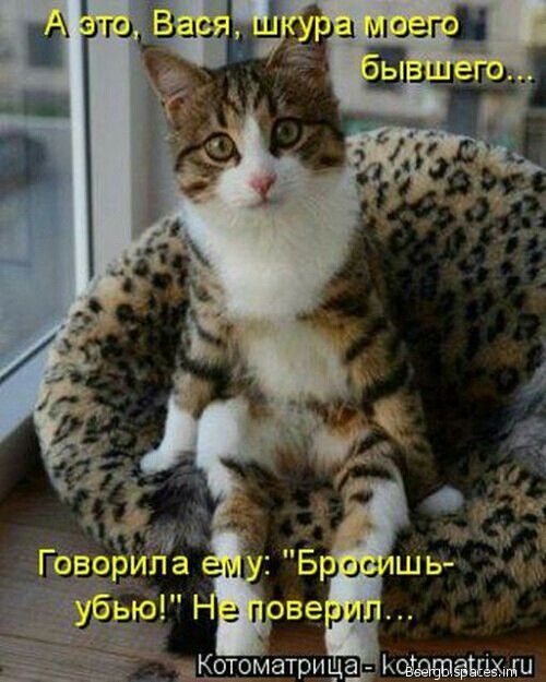 дотатри ца кодвжыгаъщми