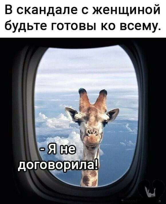 В скандале с женщиной будьте готовы ко всему дОГОВОРИЛ3 КШ