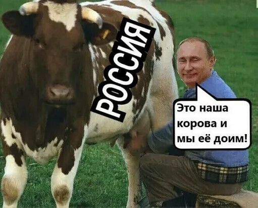 корова и Это наша