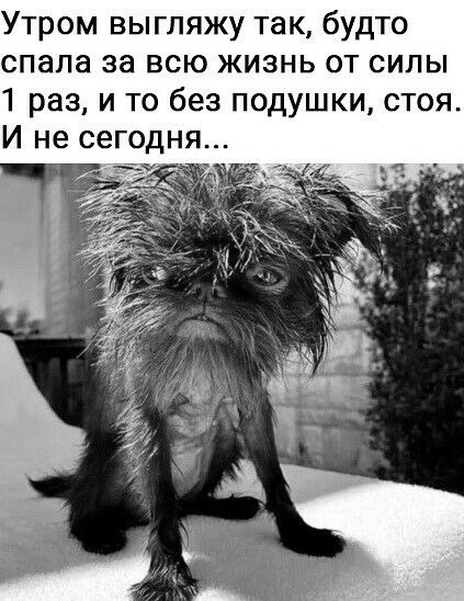 Утром выгляжу так будто спала за всю жизнь от силы 1 раз и то без подушки стоя И не сегодня